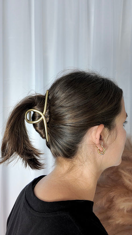 Metal claw clip